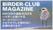 BIRDER-CLUB MAGAZINE