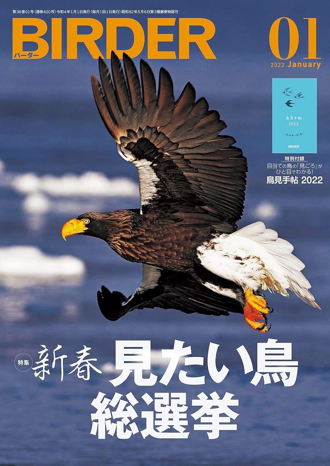 BIRDER（バーダー） 2022年1月号