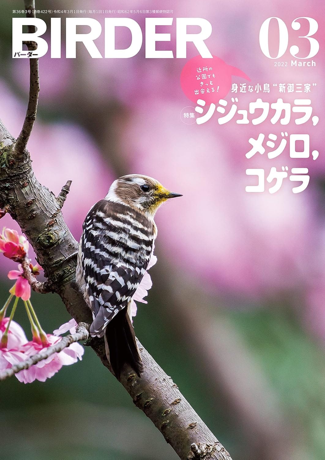 BIRDER（バーダー） 2022年3月号