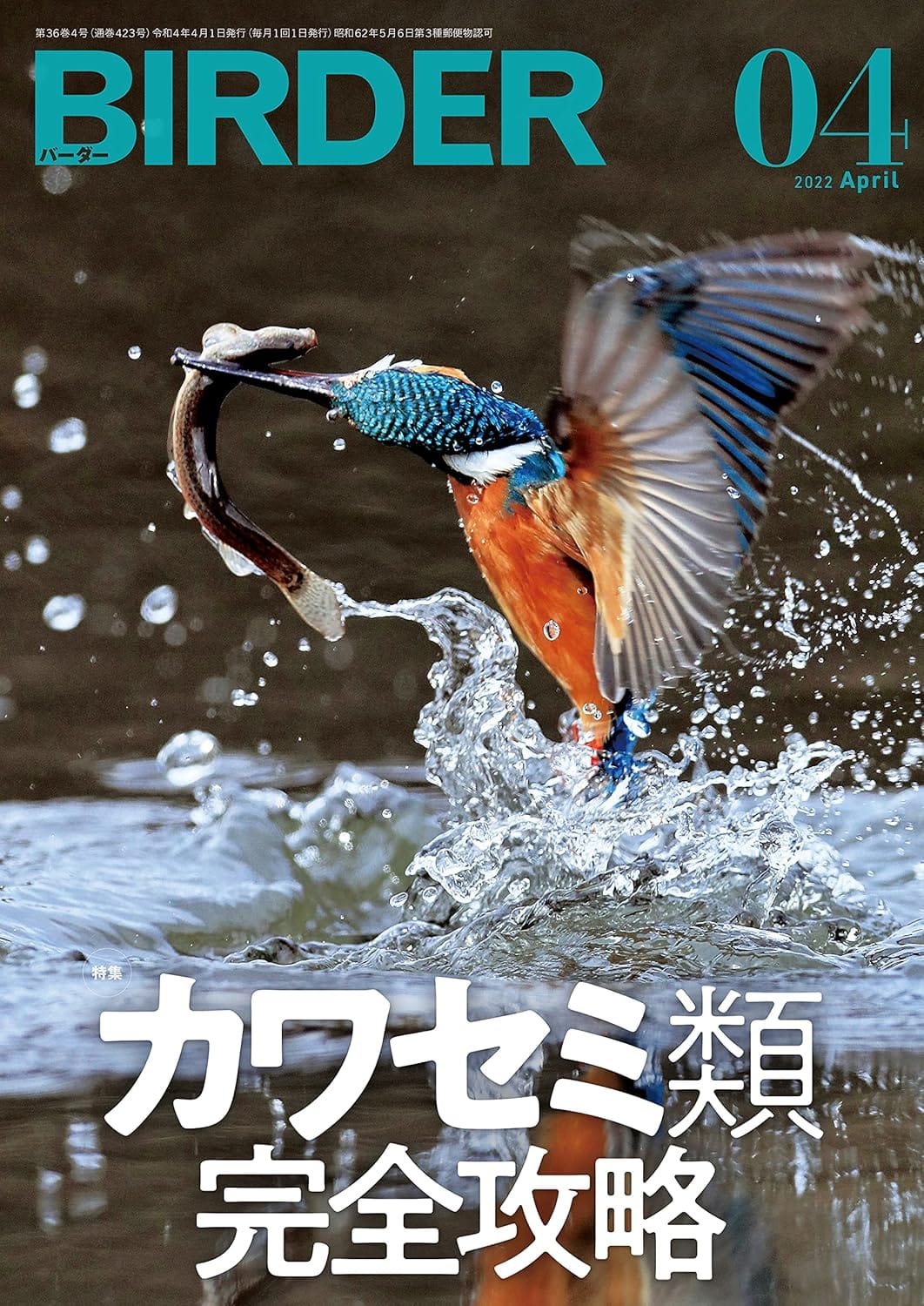 BIRDER（バーダー） 2022年4月号