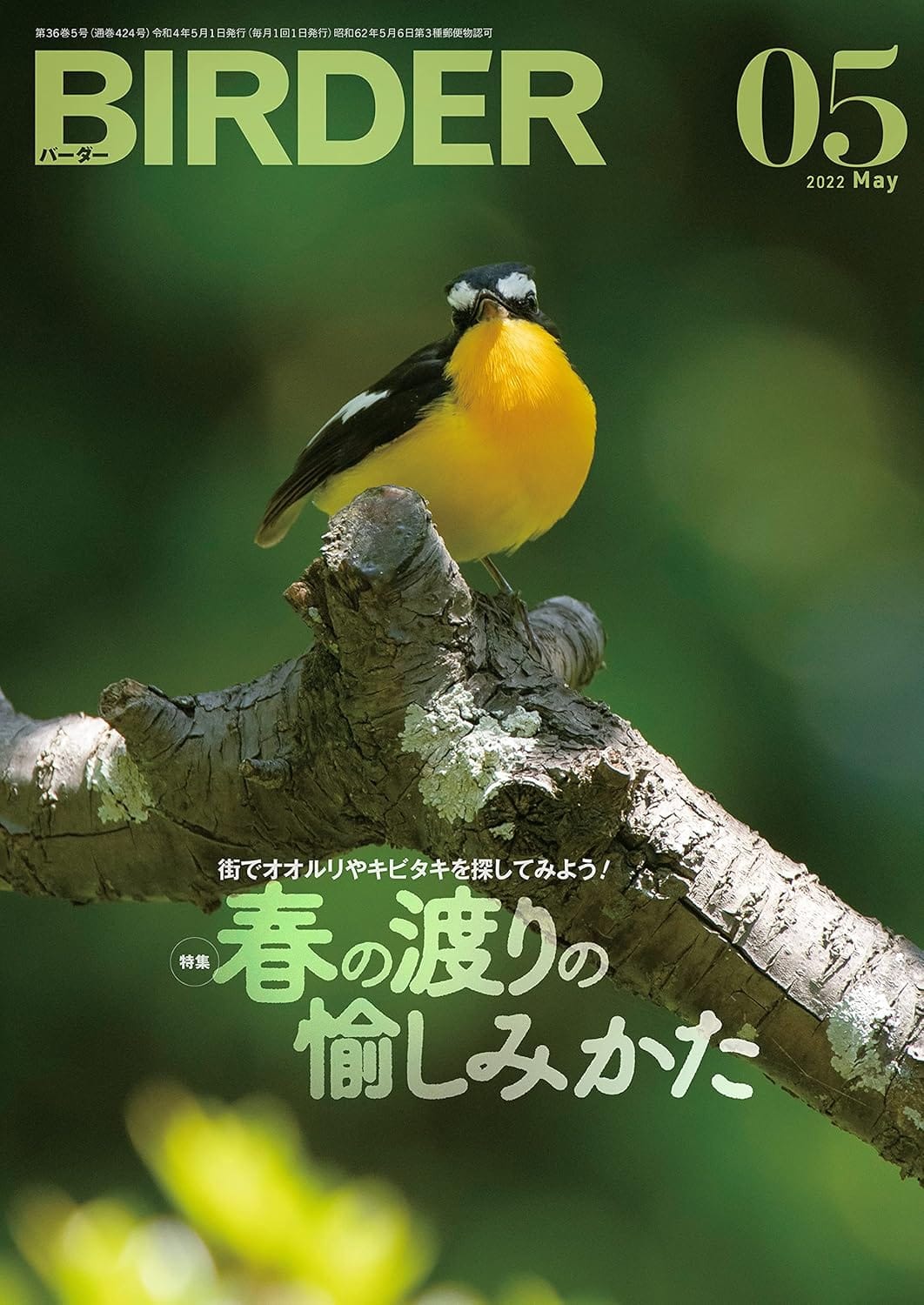 BIRDER（バーダー） 2022年5月号
