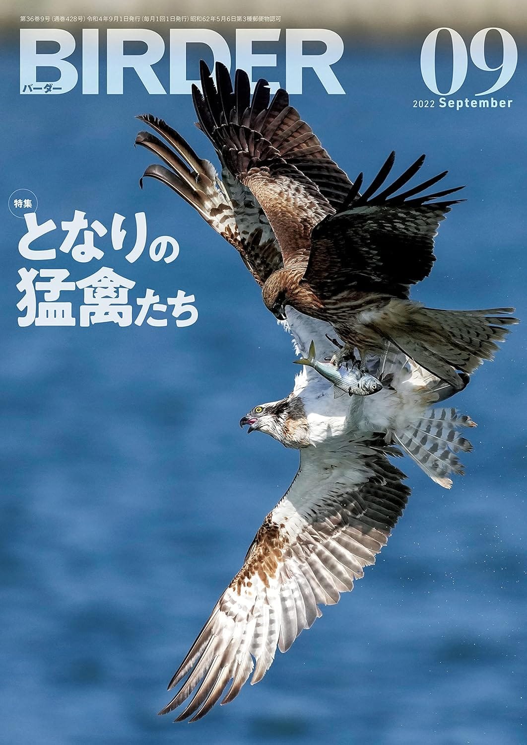 BIRDER（バーダー） 2022年9月号