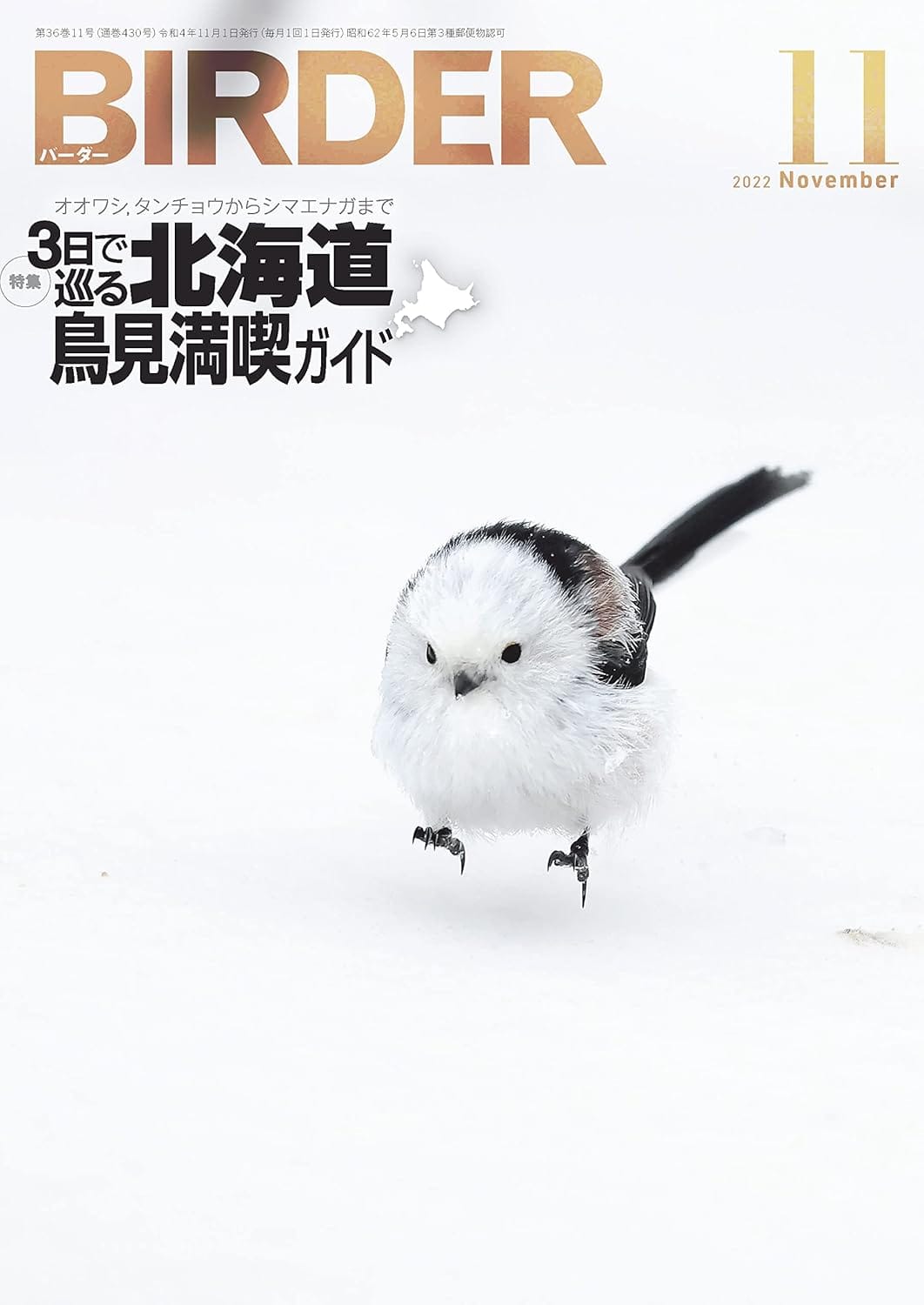 BIRDER（バーダー） 2022年11月号