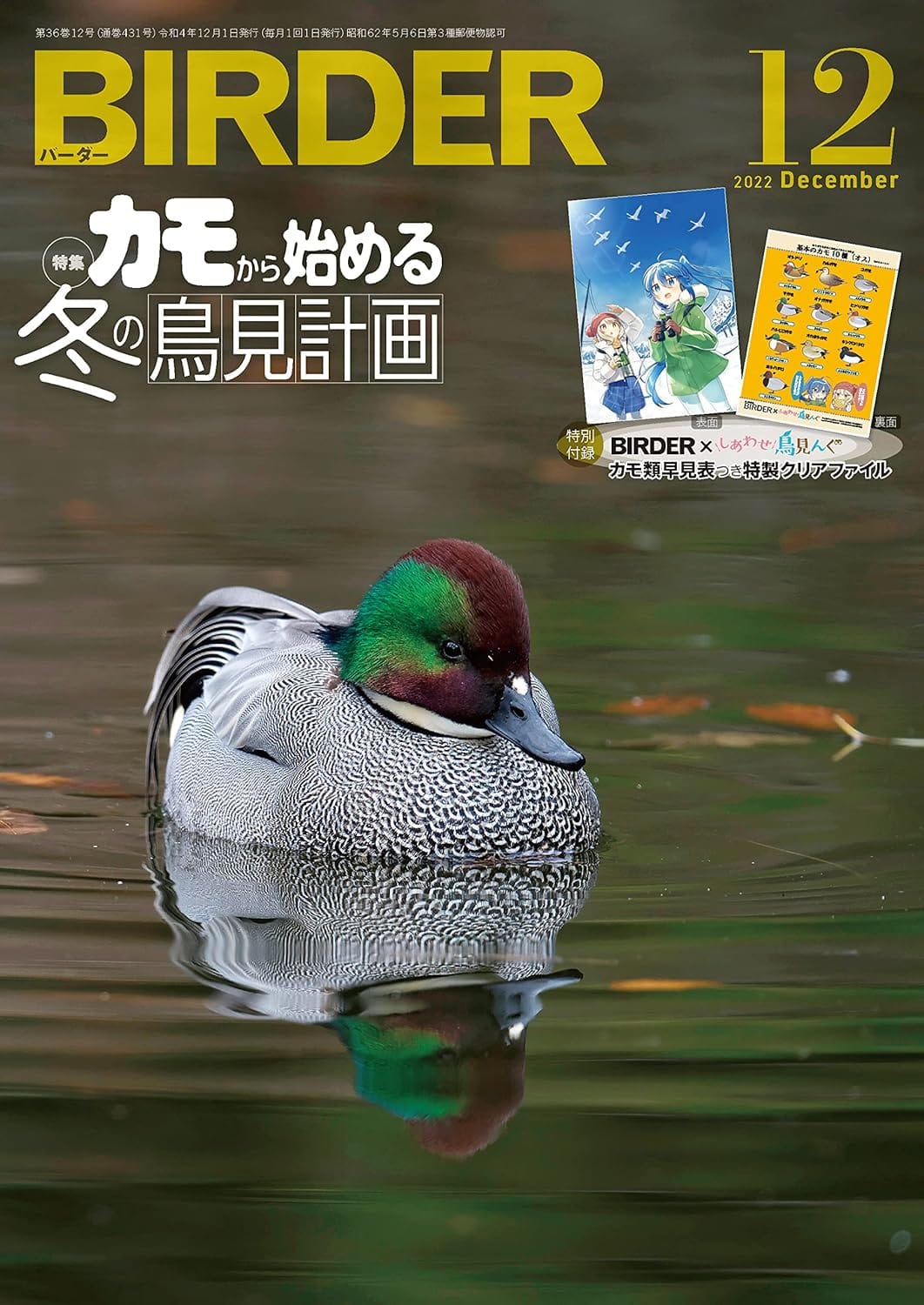BIRDER（バーダー） 2022年12月号