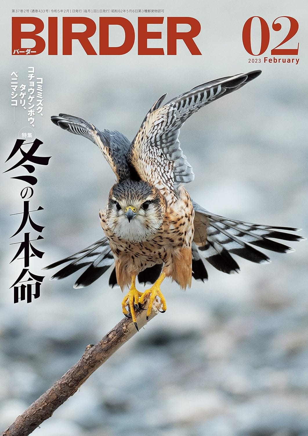 BIRDER（バーダー） 2023年2月号