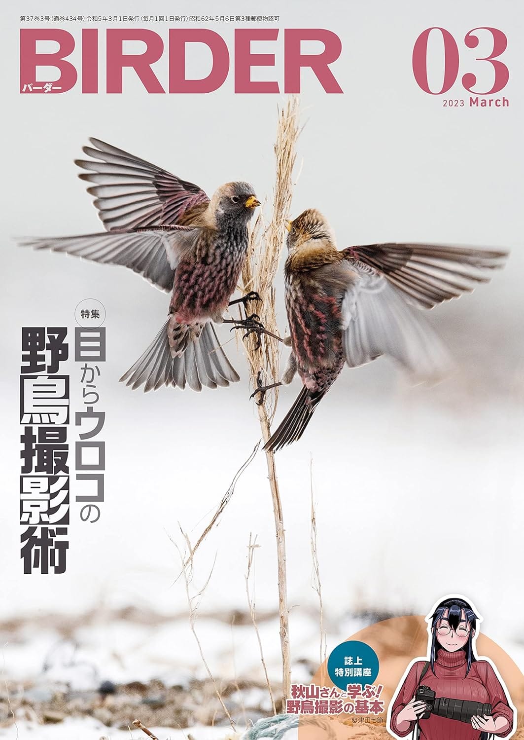 BIRDER（バーダー） 2023年3月号