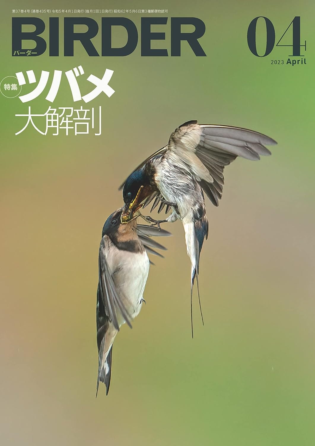 BIRDER（バーダー） 2023年4月号