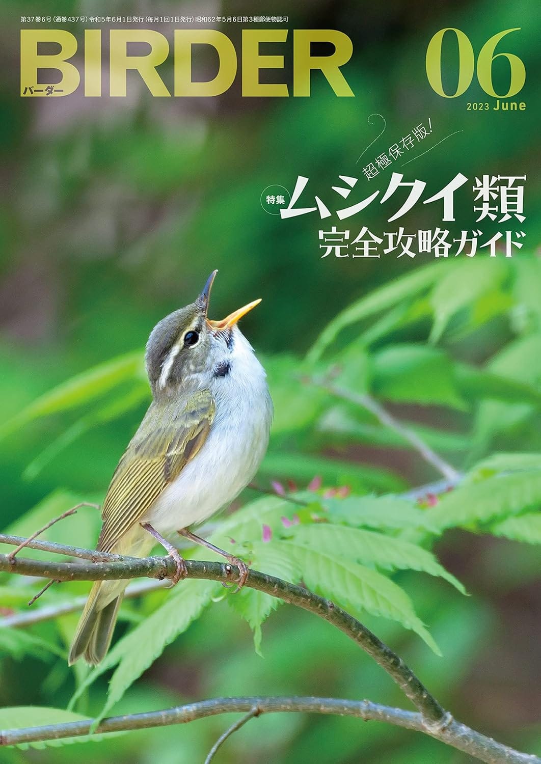 BIRDER(バーダー) 2023年6月号