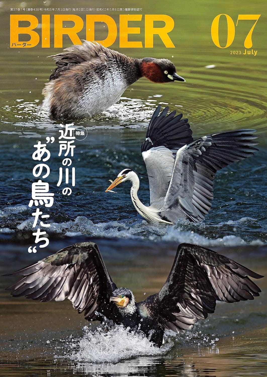 BIRDER(バーダー) 2023年7月号