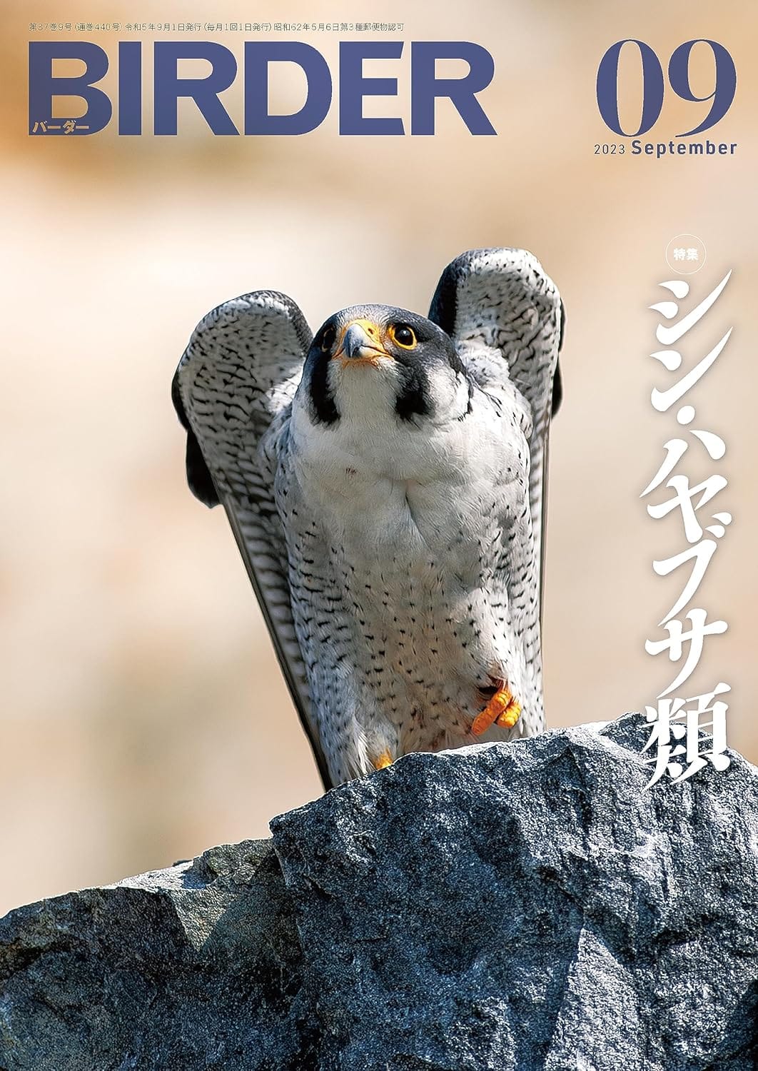 BIRDER(バーダー) 2023年9月号
