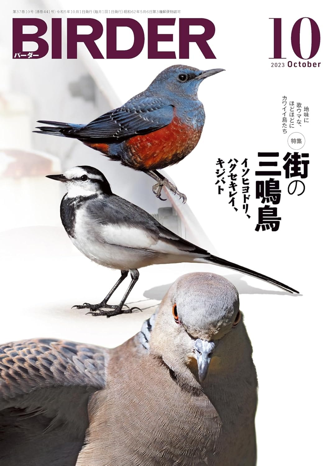 BIRDER（バーダー） 2023年10月号