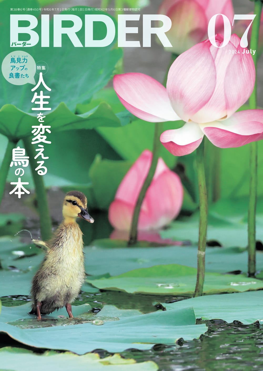 BIRDER(バーダー) 2024年7月号