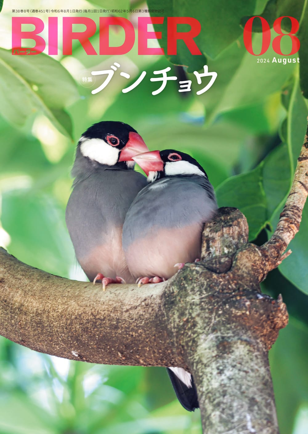 BIRDER(バーダー) 2024年8月号
