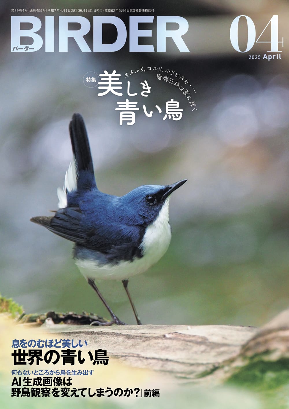 BIRDER(バーダー) 2025年4月号