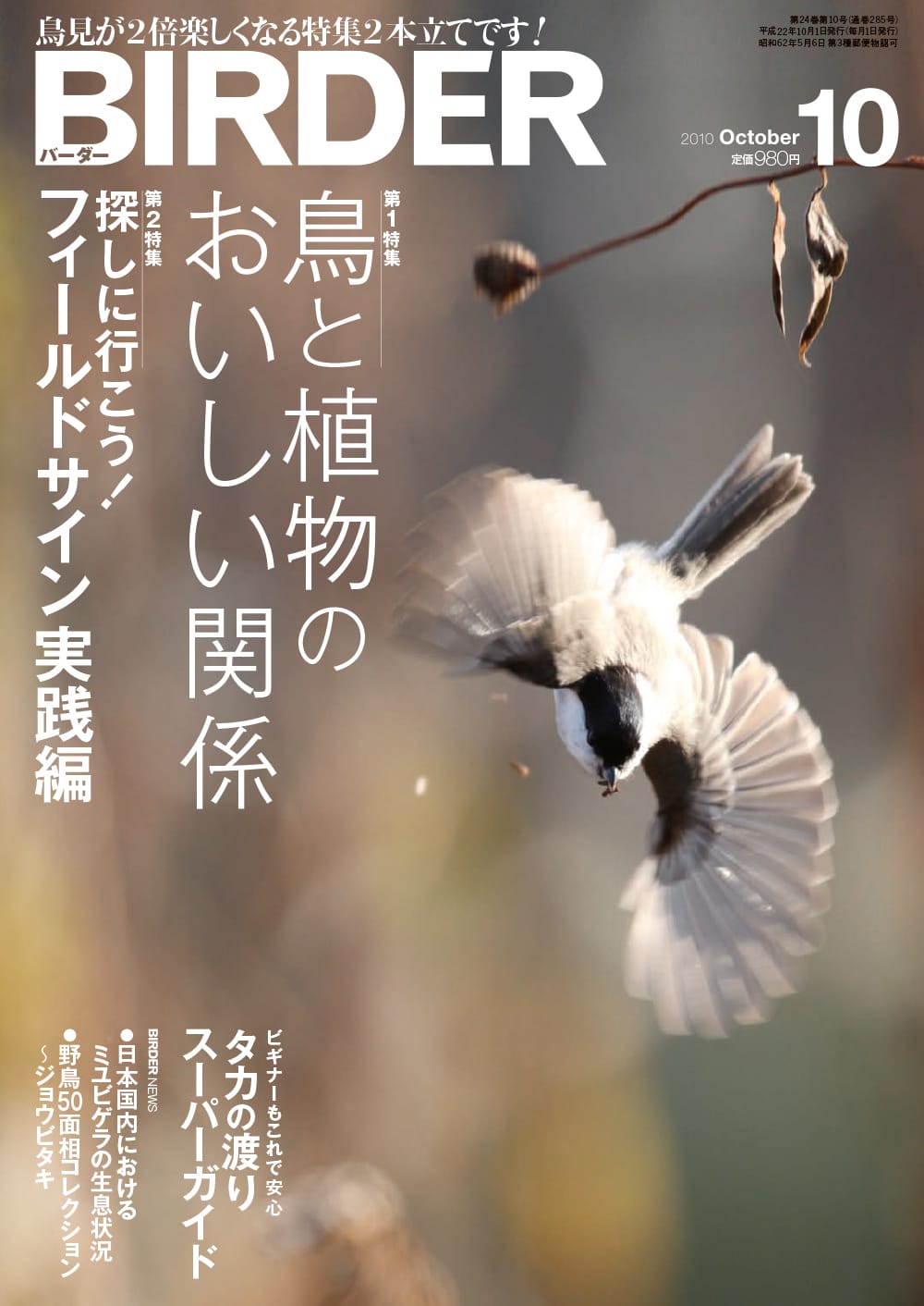 BIRDER（バーダー） 2010年10月号