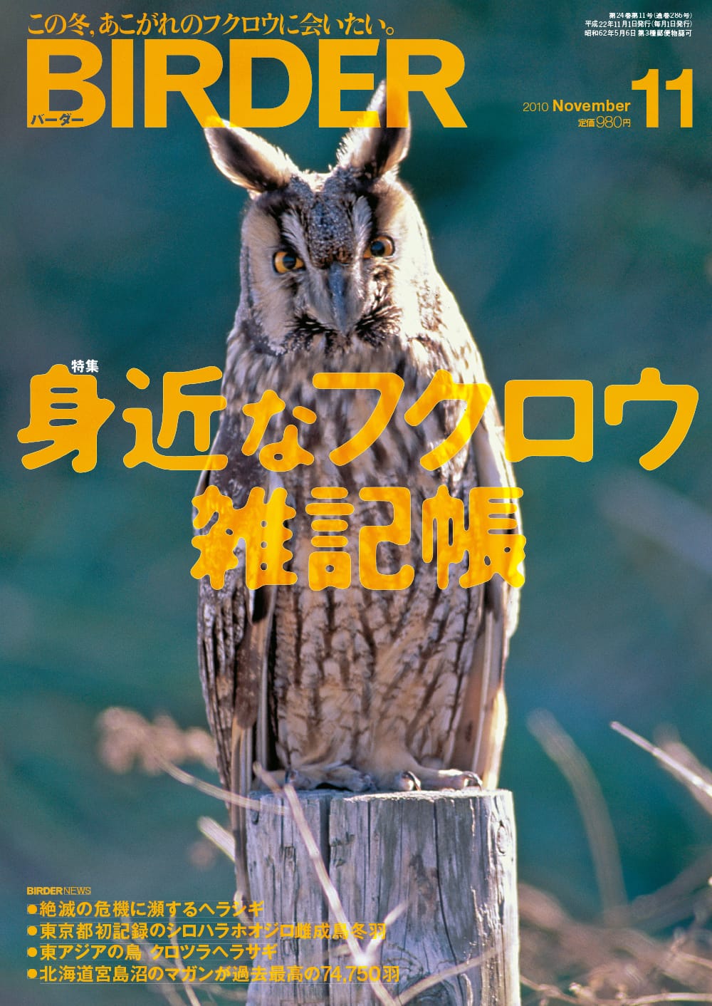 BIRDER（バーダー） 2010年11月号