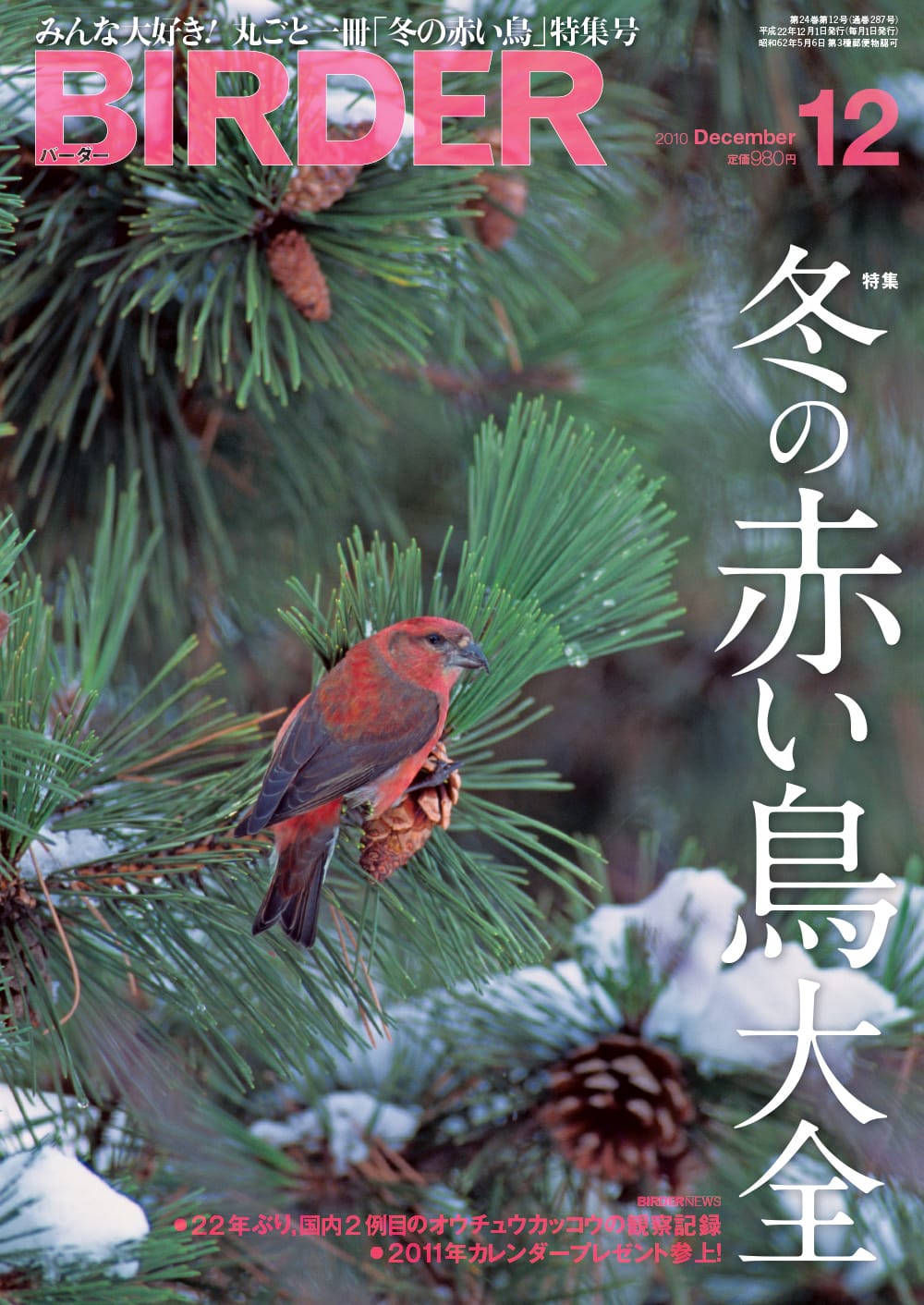 BIRDER（バーダー） 2010年12月号