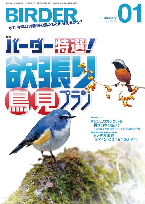 BIRDER（バーダー）2011年1月号