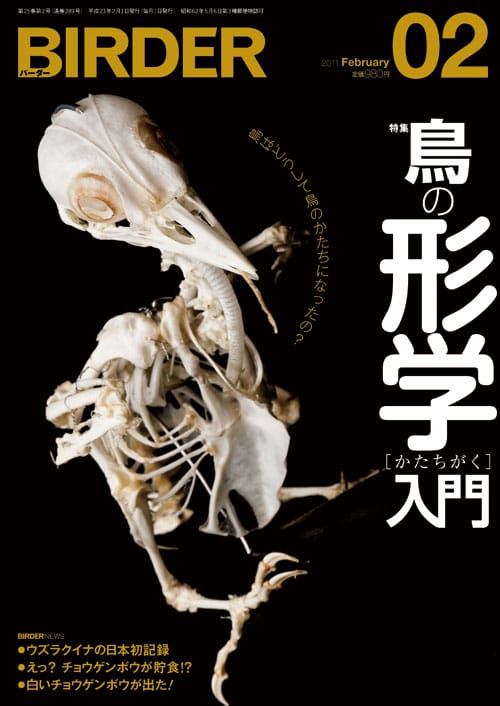 BIRDER（バーダー）2011年2月号
