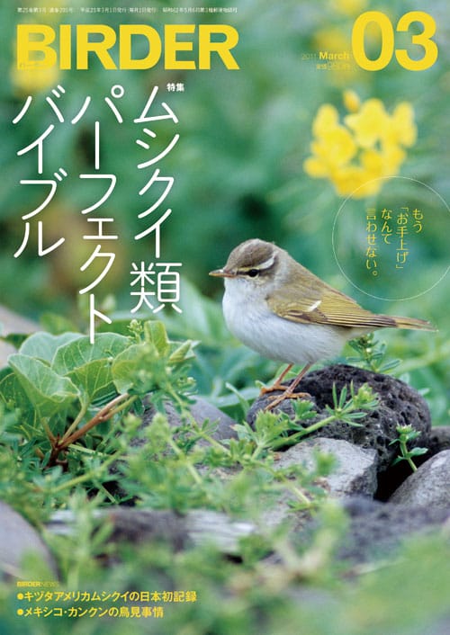 BIRDER（バーダー）2011年3月号