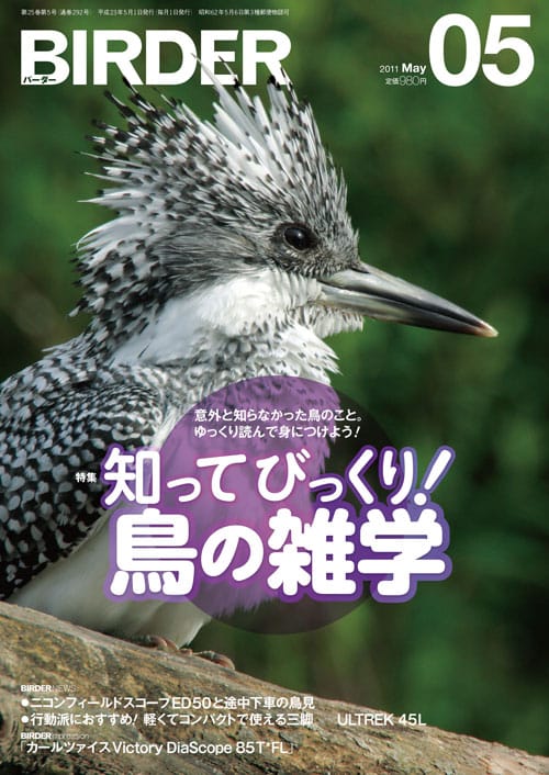 BIRDER（バーダー）2011年5月号