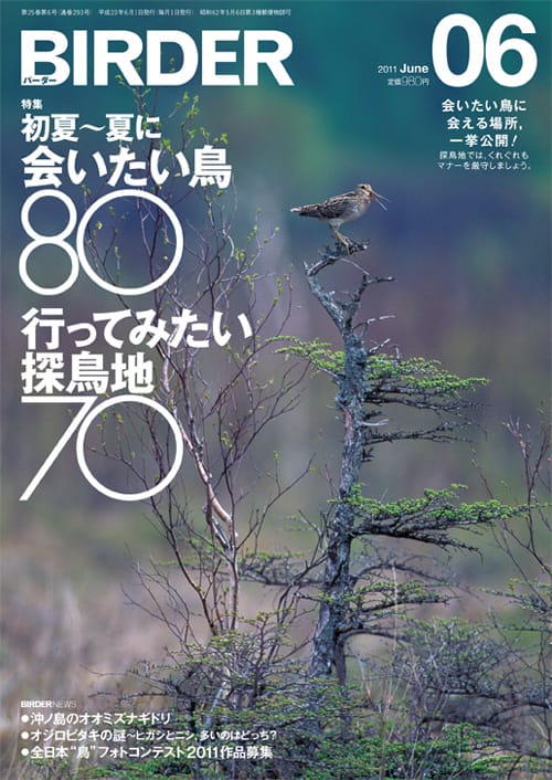 BIRDER（バーダー）2011年6月号