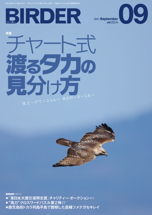 BIRDER（バーダー）2011年9月号