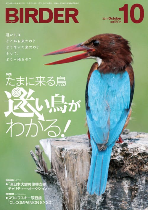 BIRDER（バーダー）2011年10月号