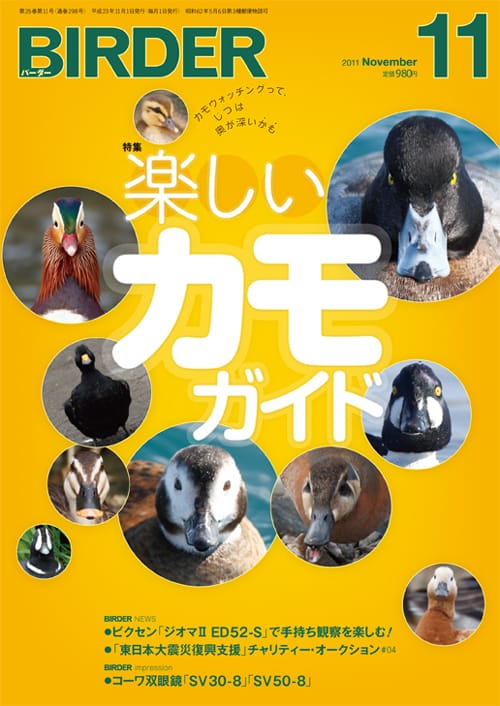 BIRDER（バーダー）2011年11月号