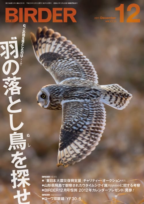 BIRDER（バーダー）2011年12月号