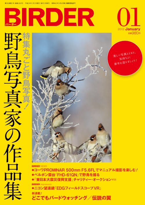 BIRDER（バーダー）2012年1月号