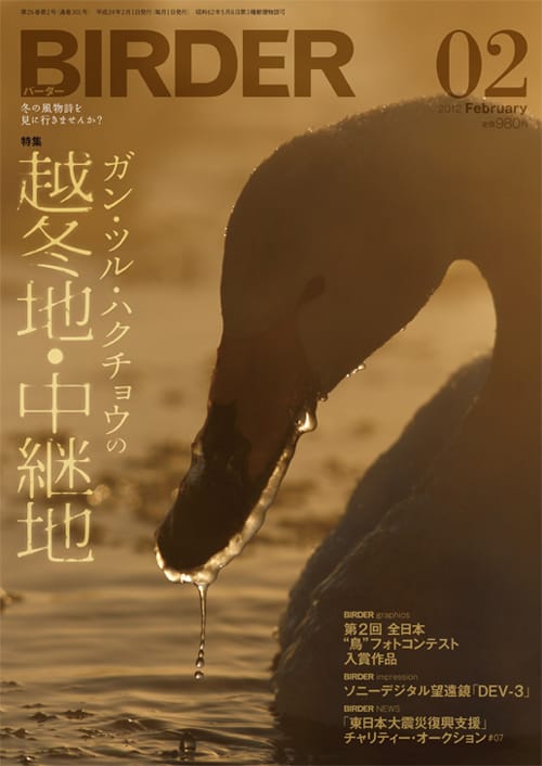 BIRDER（バーダー）2012年2月号
