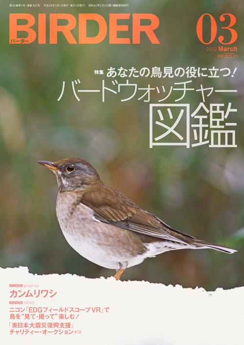 BIRDER（バーダー）2012年3月号