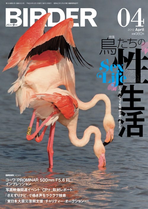 BIRDER（バーダー）2012年4月号