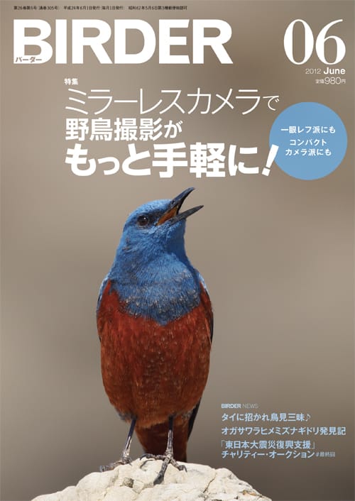 BIRDER（バーダー）2012年6月号