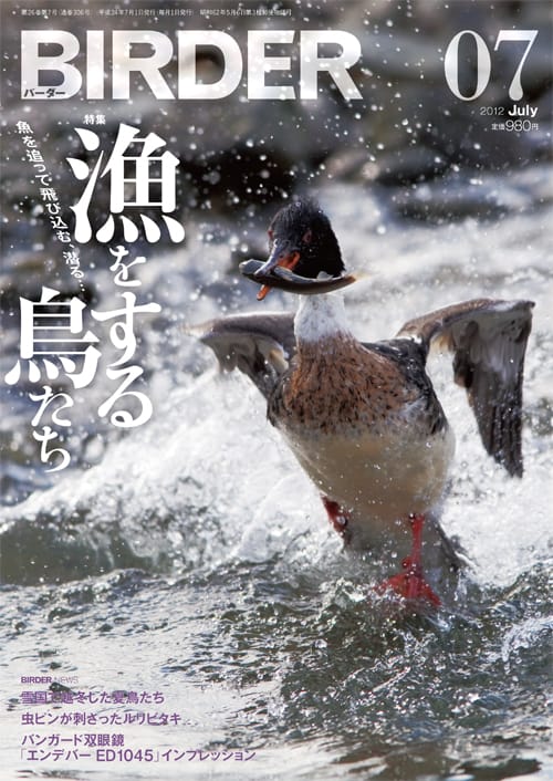 BIRDER（バーダー）2012年7月号