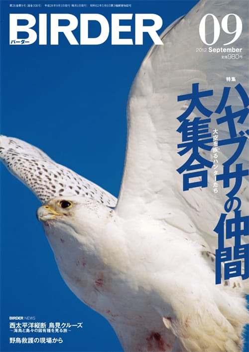 BIRDER（バーダー）2012年9月号