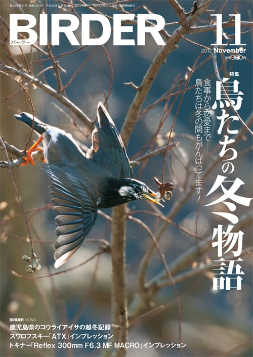 BIRDER（バーダー）2012年11月号