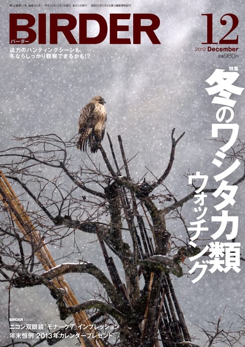 BIRDER（バーダー）2012年12月号