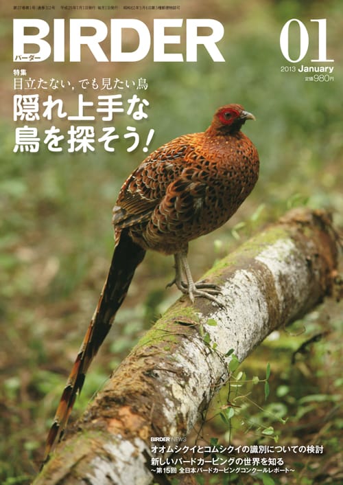 BIRDER（バーダー）2013年1月号