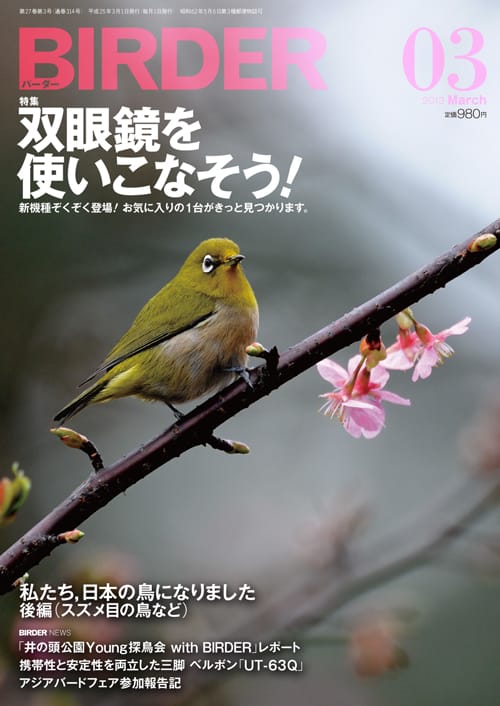 BIRDER（バーダー）2013年3月号