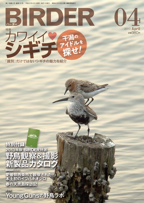 BIRDER（バーダー）2013年4月号