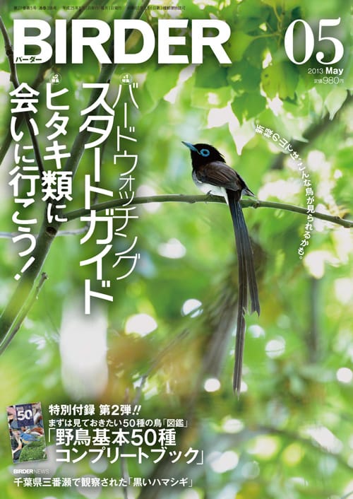 BIRDER（バーダー）2013年5月号
