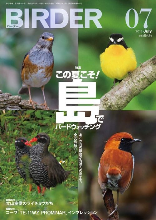 BIRDER（バーダー）2013年7月号