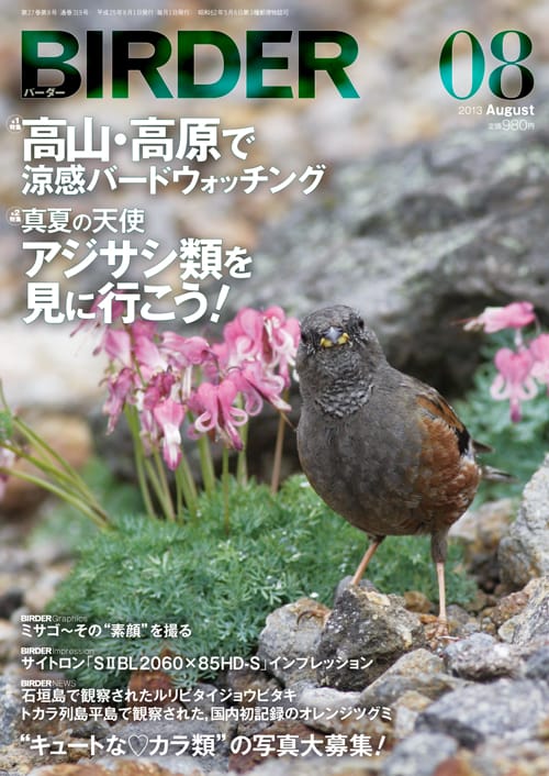 BIRDER（バーダー）2013年8月号