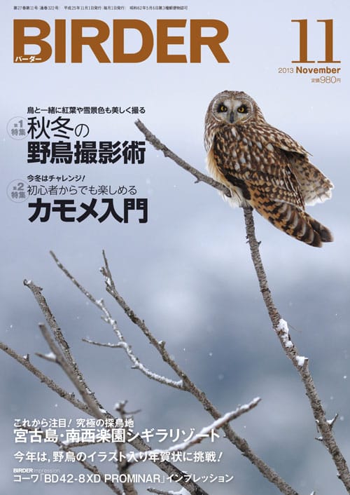 BIRDER（バーダー）2013年11月号