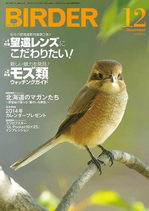 BIRDER（バーダー）2013年12月号