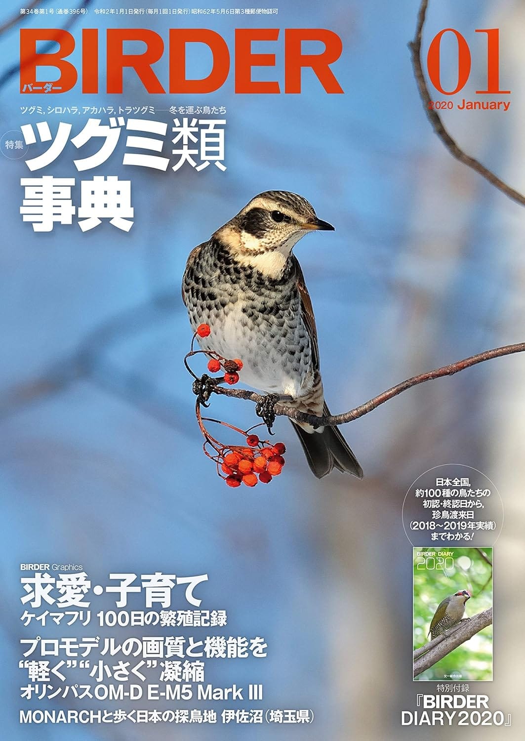 BIRDER（バーダー） 2020年1月号