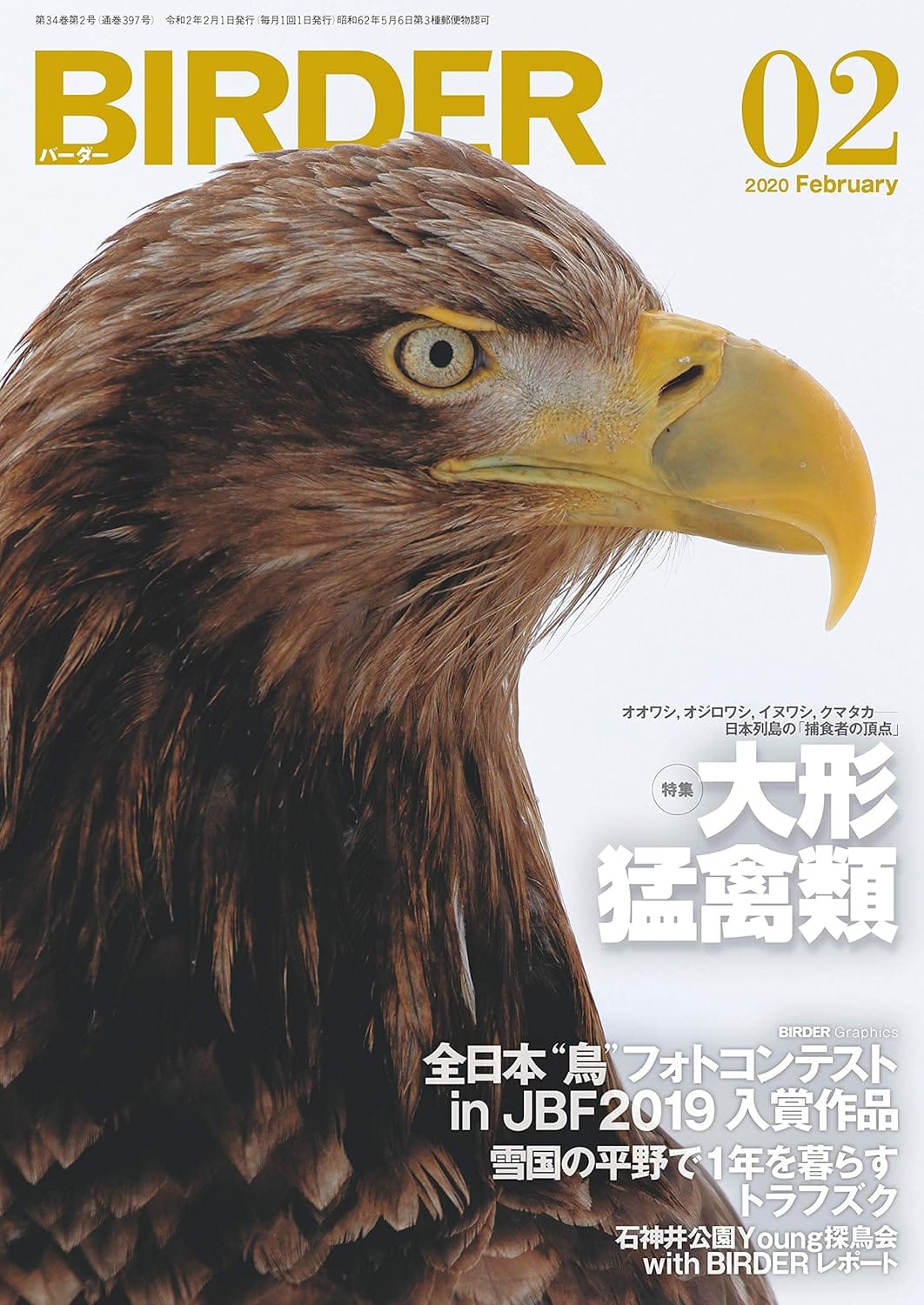 BIRDER（バーダー） 2020年2月号