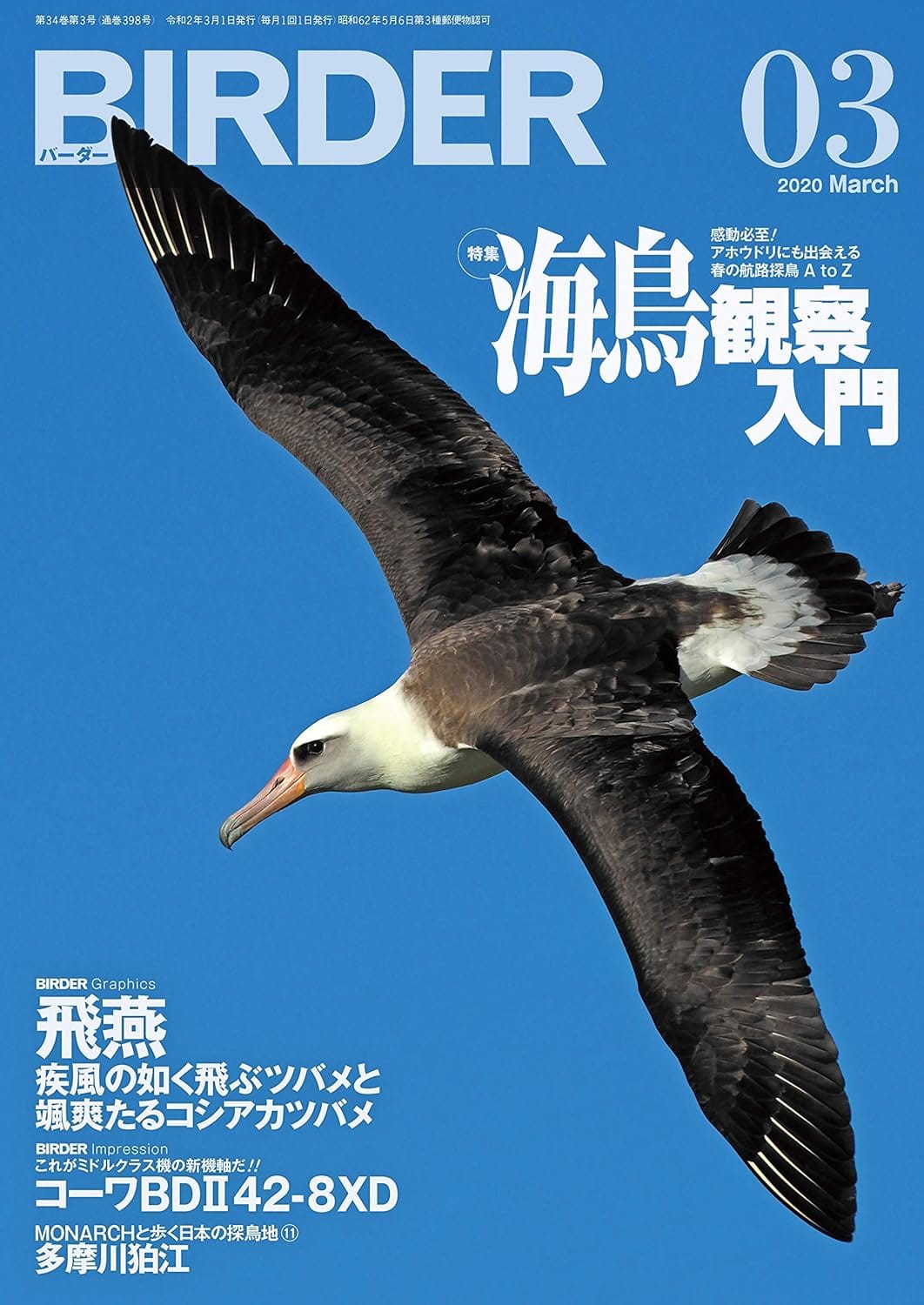 BIRDER（バーダー） 2020年3月号